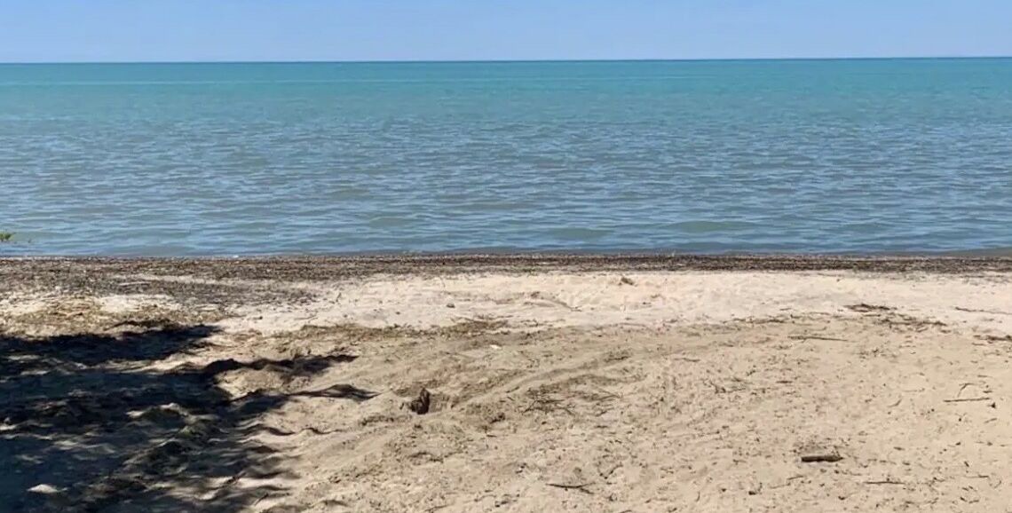 Photo of Others in Lambton Shores