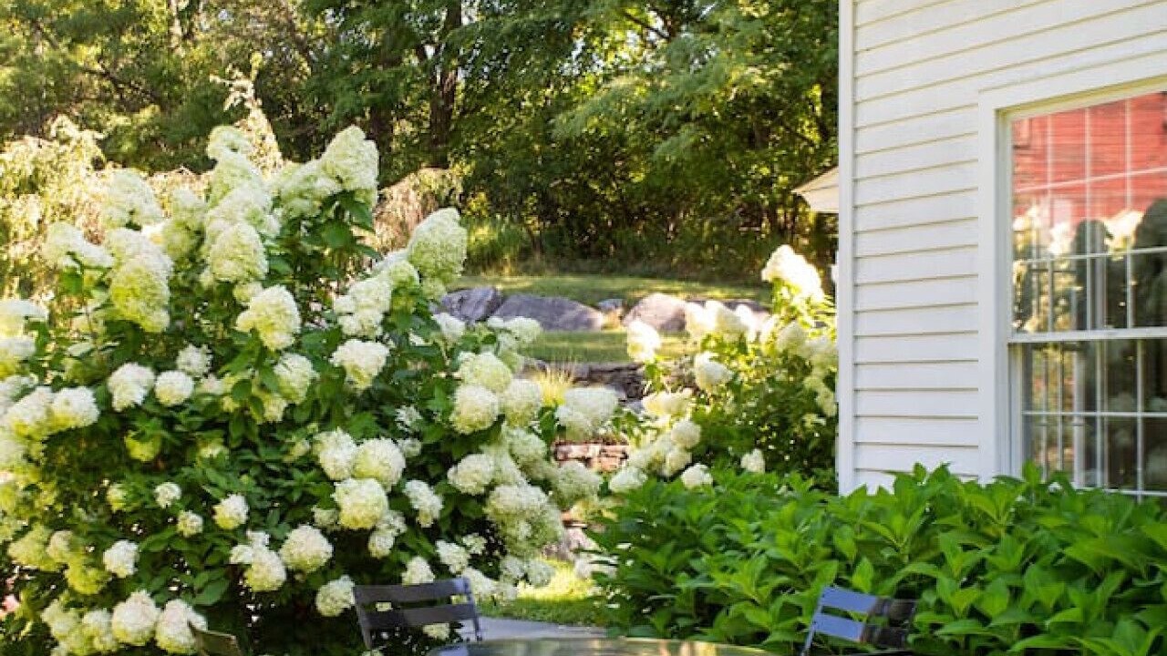 Photo of Outdoor in Old Chatham