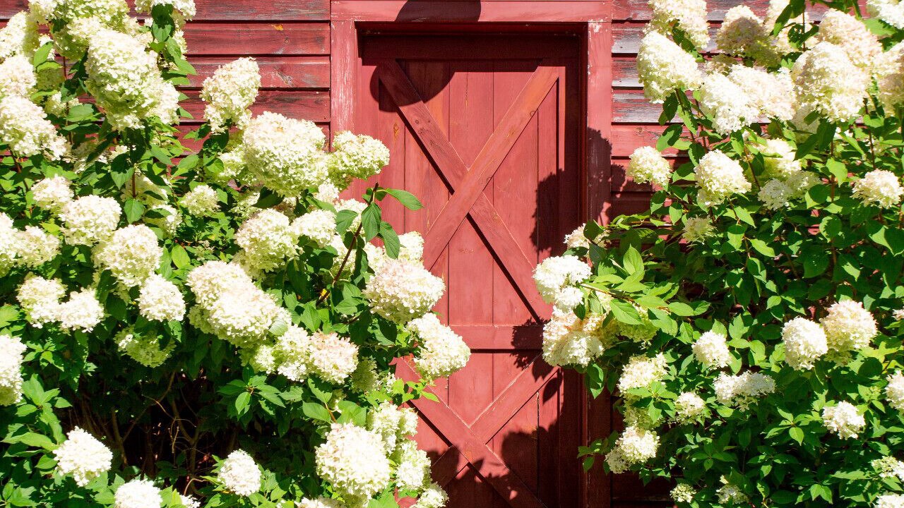 Photo of Outdoor in Old Chatham