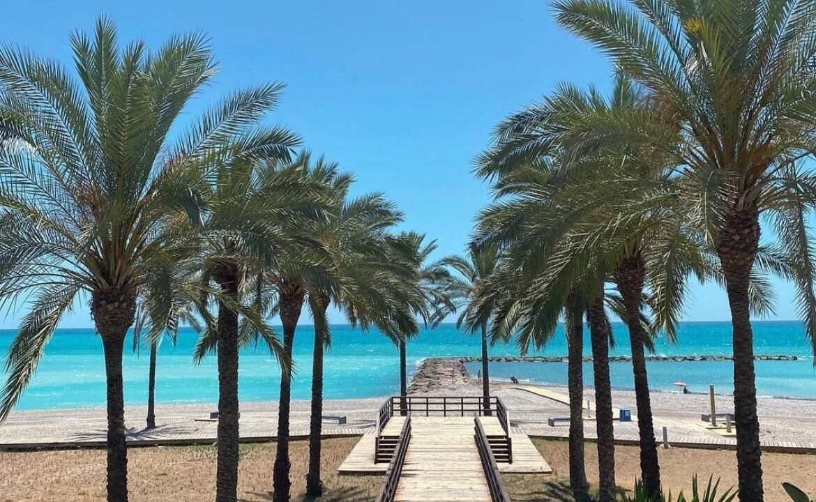 Photo of Others in Benicassim