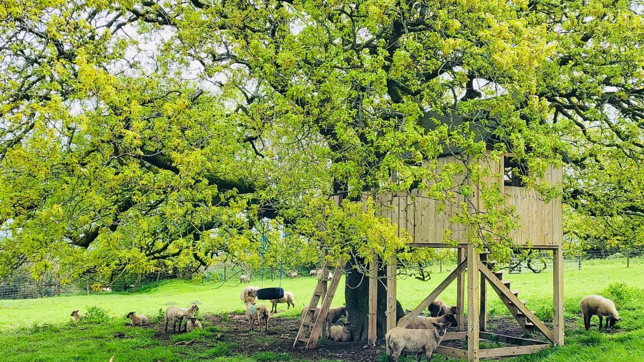 Photo of Others in High Bickington