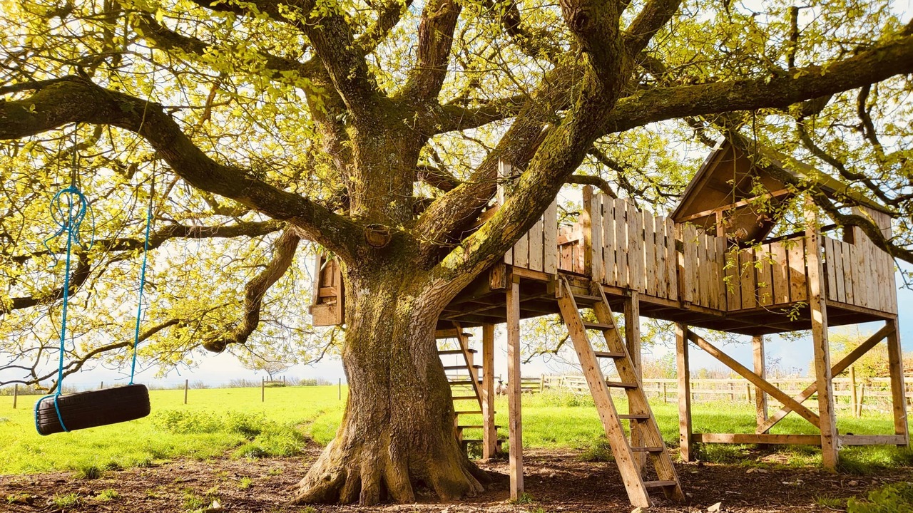 Photo of Others in High Bickington