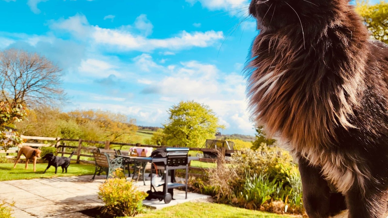 Photo of Others in High Bickington