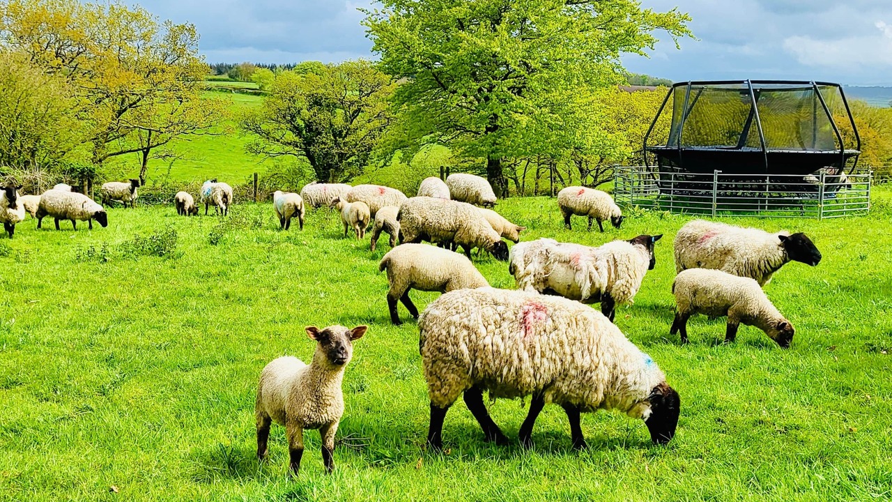 Photo of Others in High Bickington