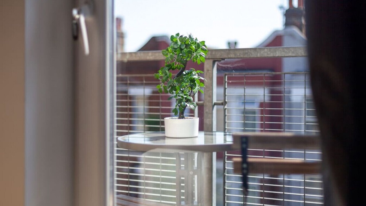 Photo of Others in Collier's Wood