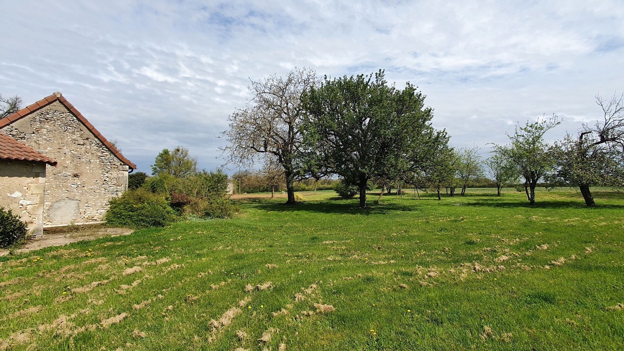 Photo of Outdoor in Archigny