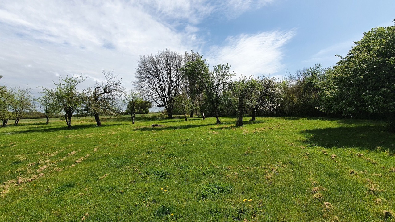 Photo of Others in Archigny