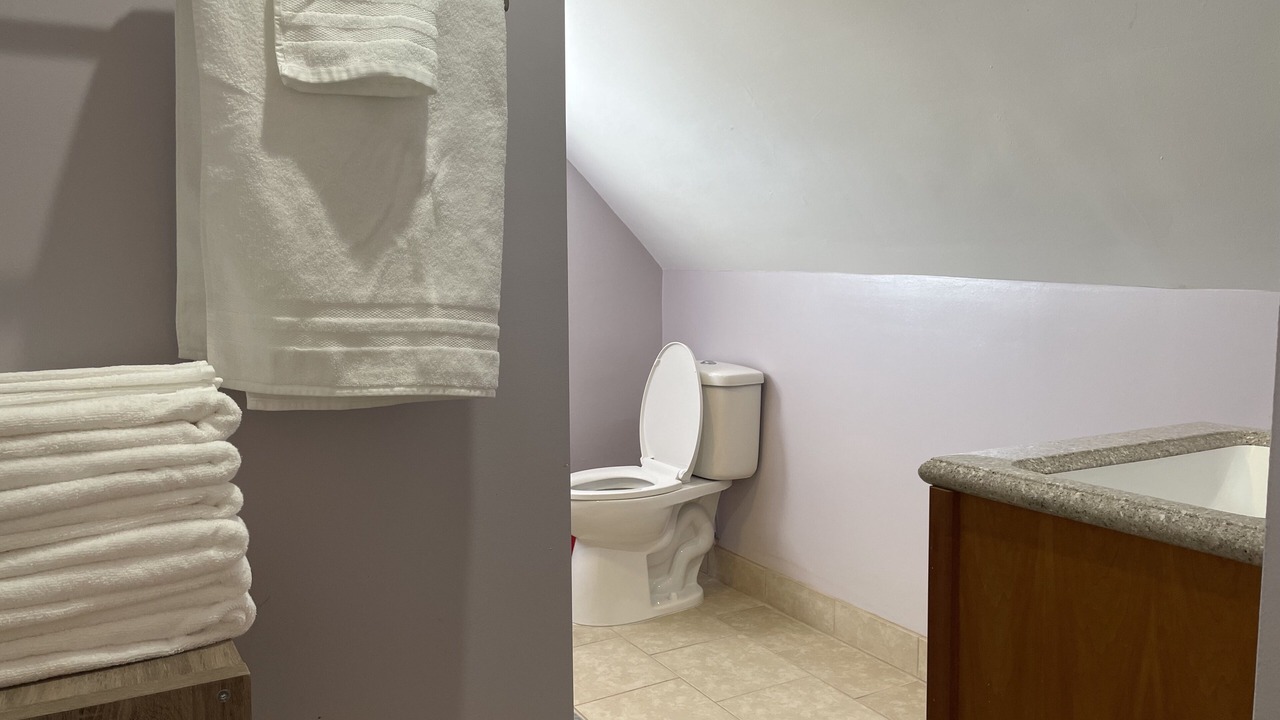 Photo of Bathroom in Berrien Springs