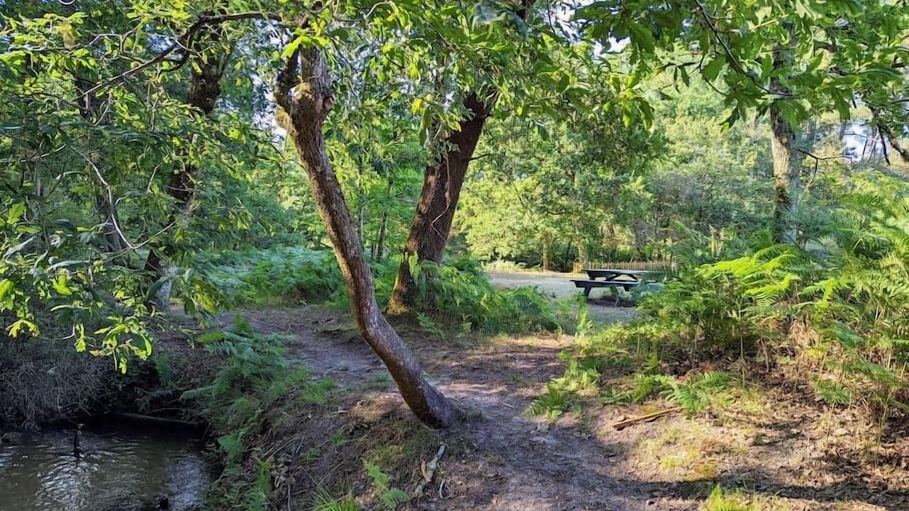 Photo of Outdoor in Lesperon