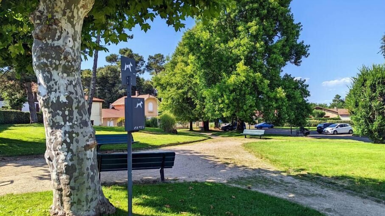 Photo of Outdoor in Lesperon
