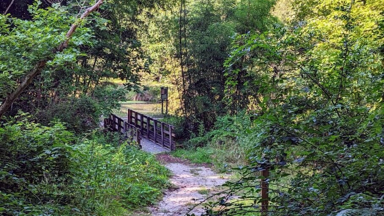 Photo of Outdoor in Lesperon