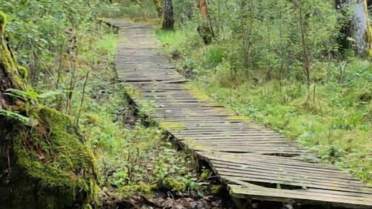 Photo of Outdoor in Croze