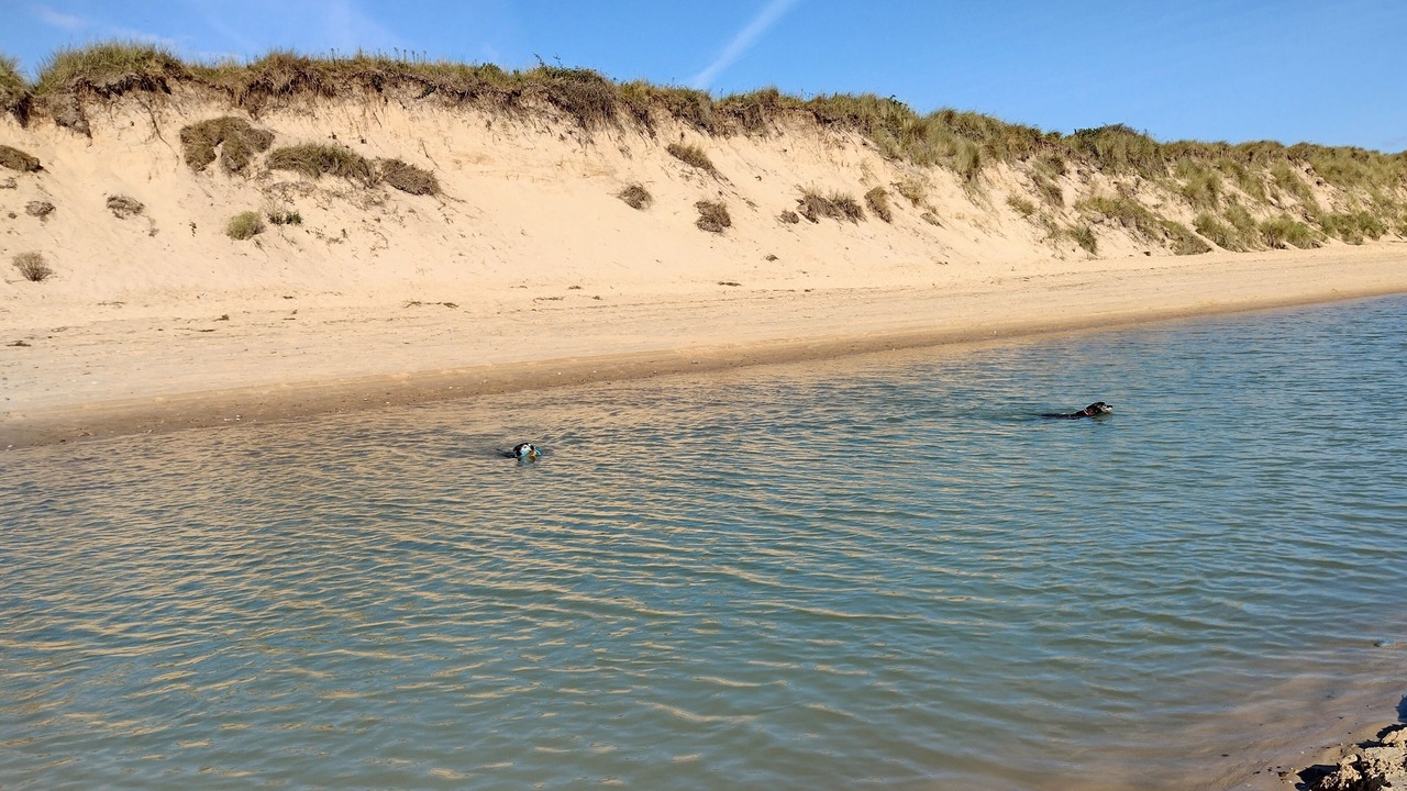 Photo of Others in Scratby