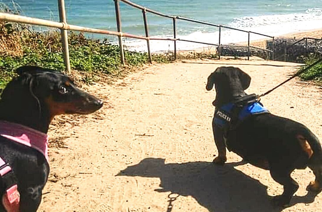 Photo of Others in Scratby