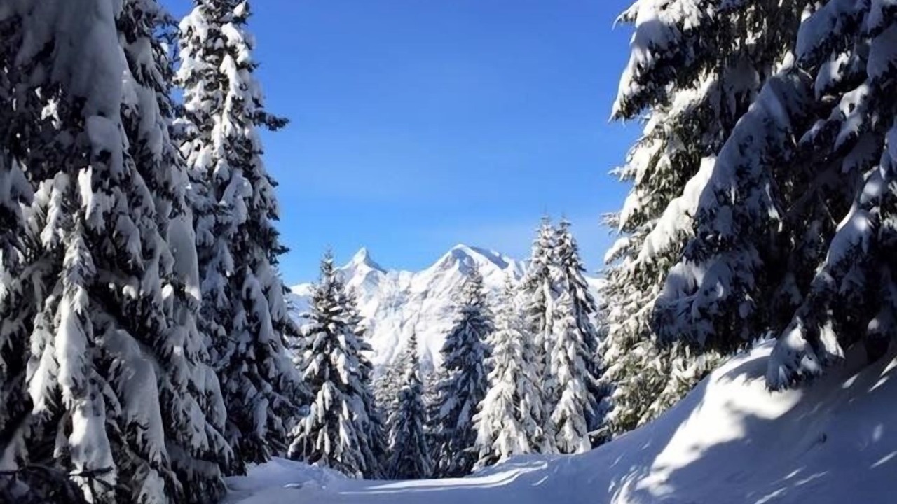 Photo of Others in Araches-la-Frasse
