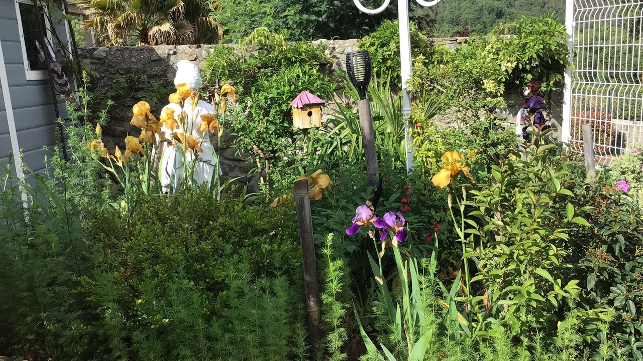 Photo of Outdoor in Vernet-les-Bains