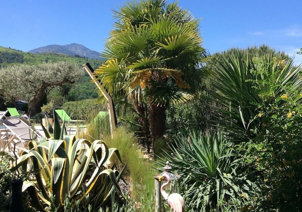 Photo of Outdoor in Vernet-les-Bains
