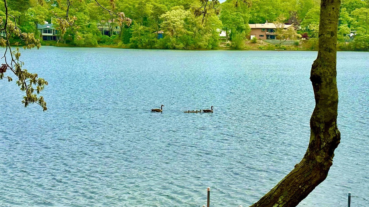 Photo of Others in Cataumet