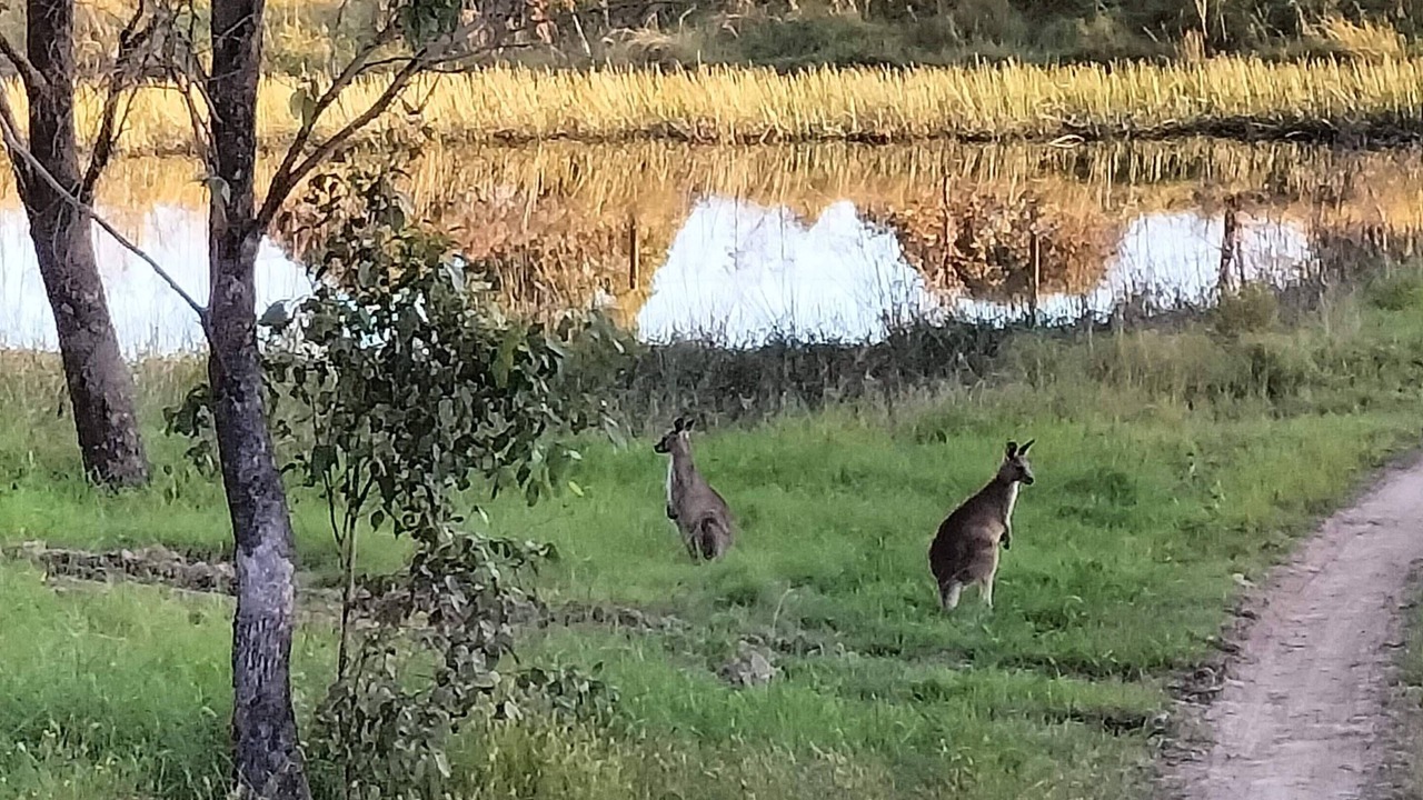 Photo of Others in Stanhope