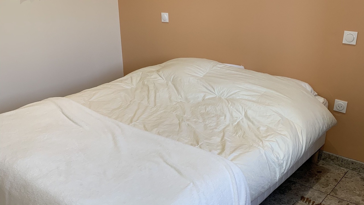 Photo of Bedroom in Veyrier-du-Lac