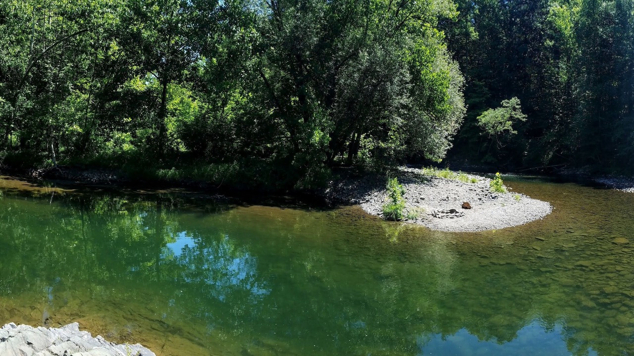 Photo of Others in Chatham