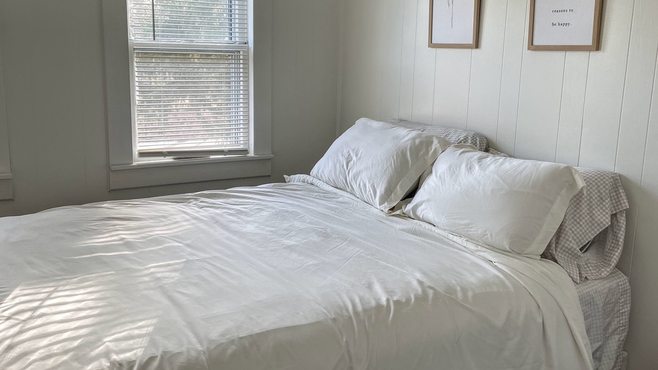 Photo of Others in Chatham