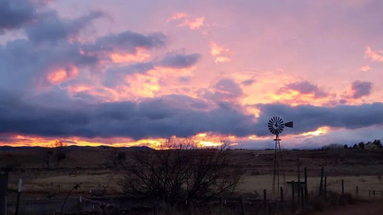 Photo of Others in Sonoita