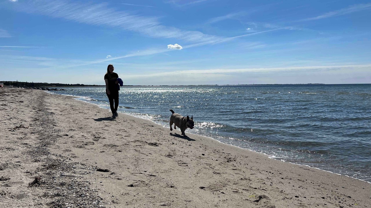 Photo of Others in Store Fuglede