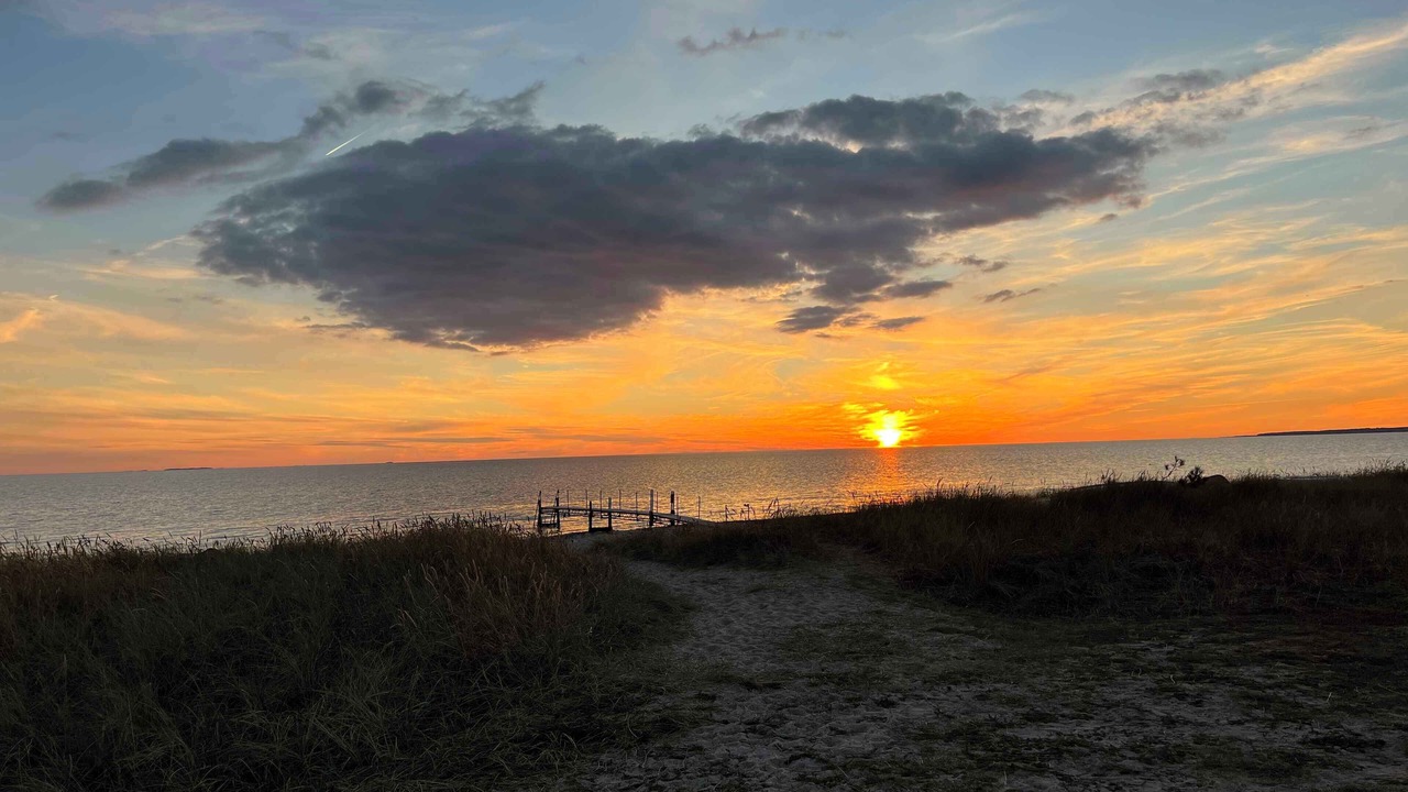 Photo of Others in Store Fuglede