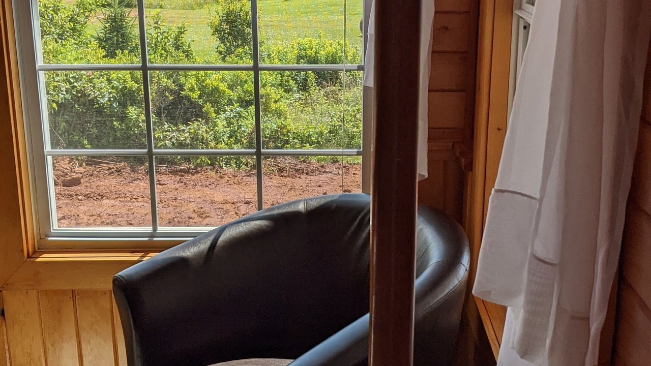 Photo of Others in Darnley