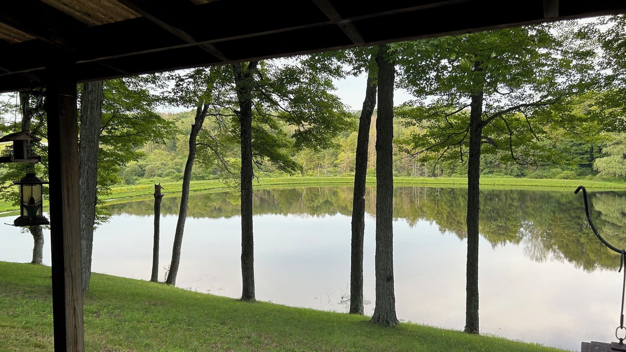 Photo of Outdoor in Gillett