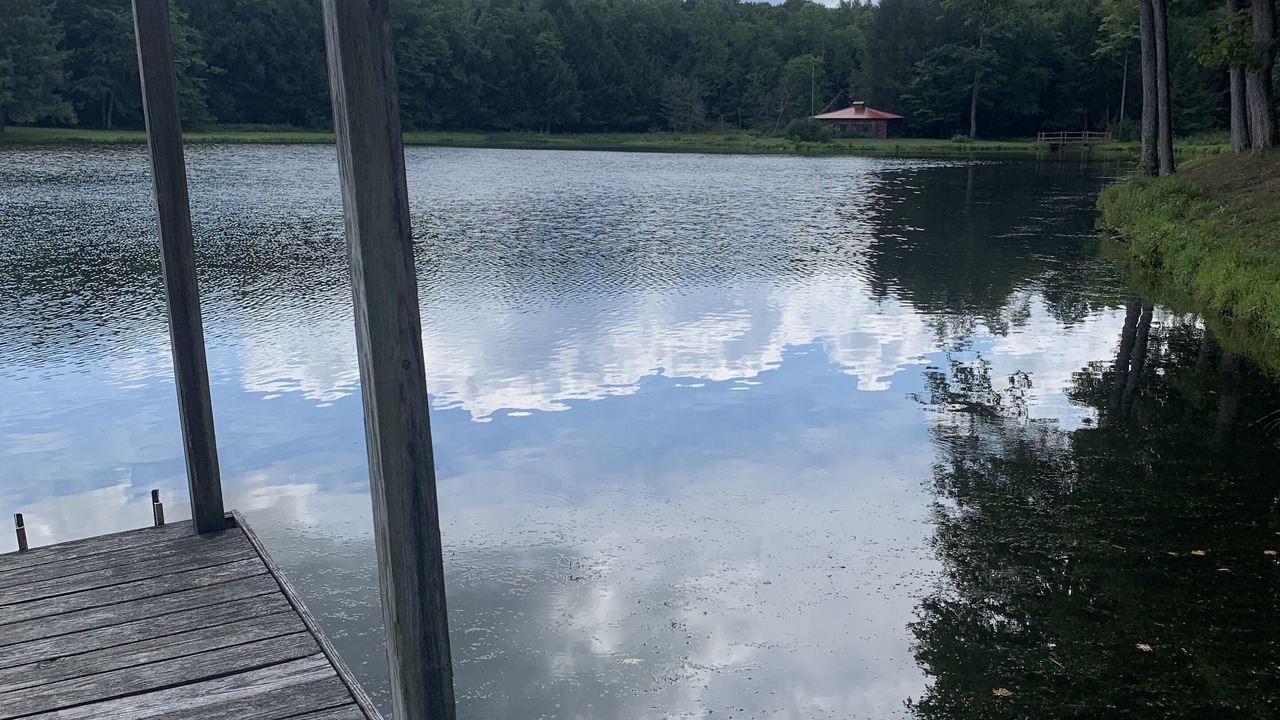 Photo of Outdoor in Gillett