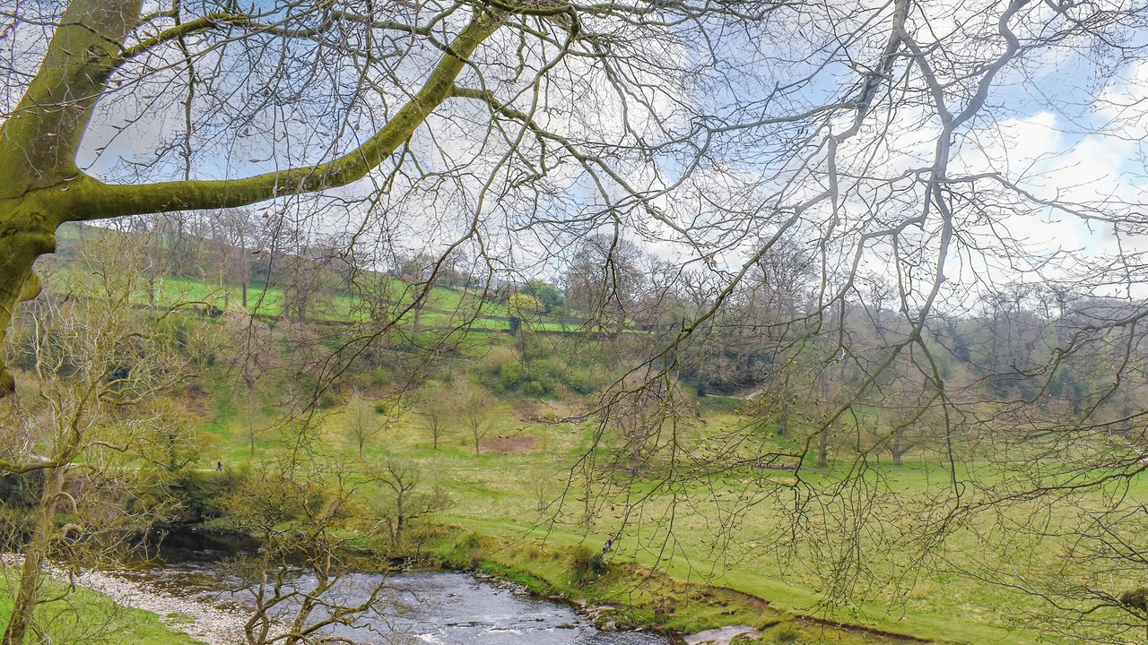 Photo of Others in Clitheroe