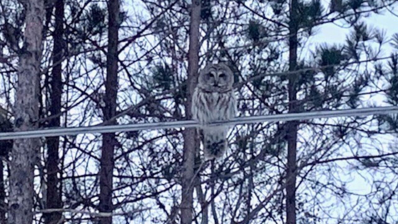 Photo of Others in Au Gres