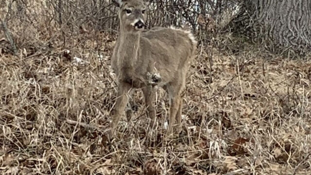 Photo of Others in Au Gres