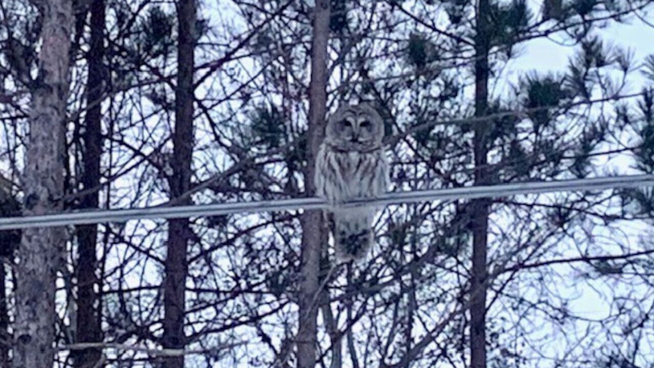 Photo of Others in Au Gres