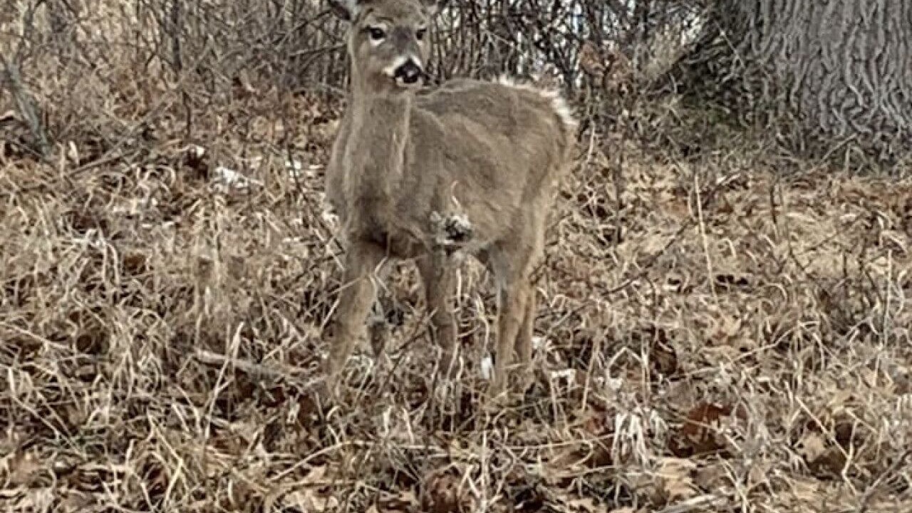 Photo of Others in Au Gres