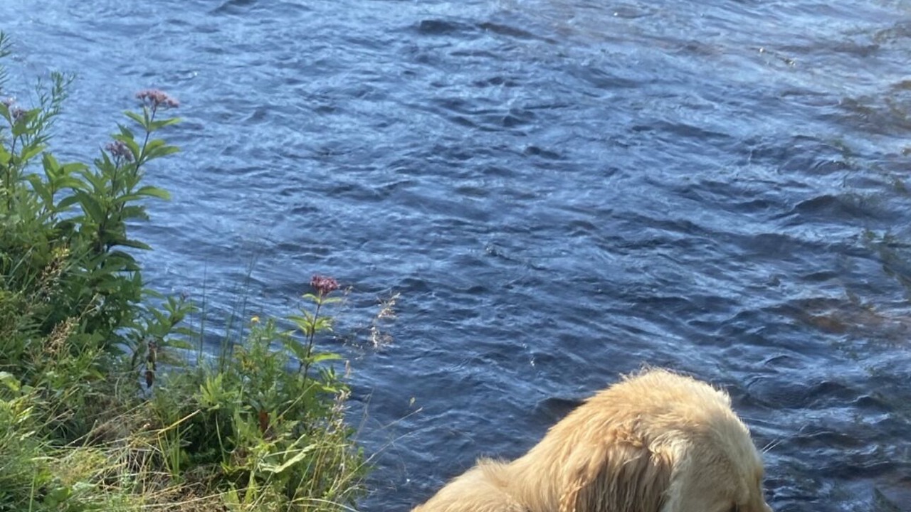 Photo of Others in Canaan