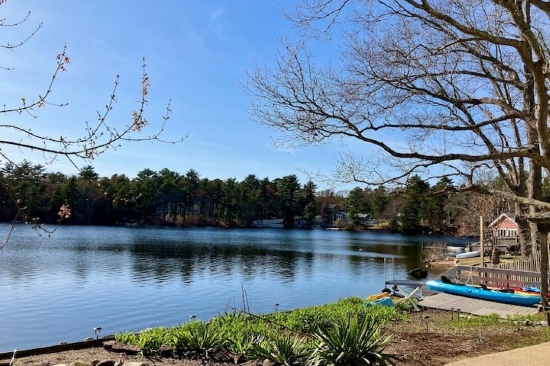 Photo of Others in Plymouth