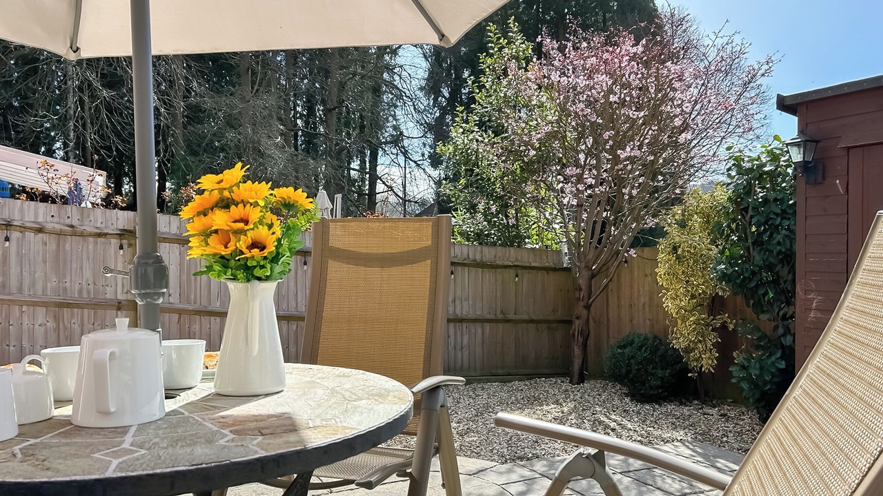 Photo of Others in Cinderford