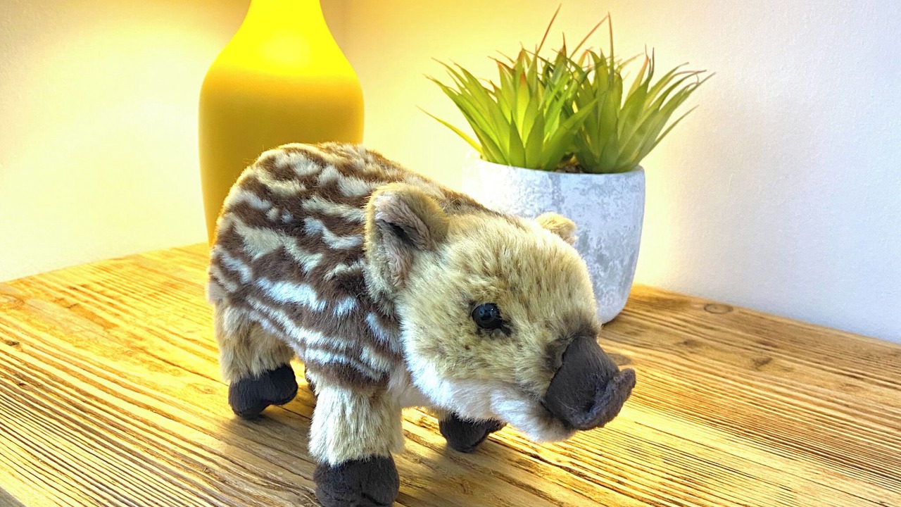 Photo of Others in Cinderford