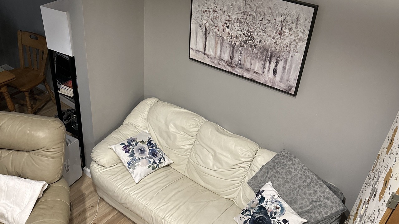 Photo of Livingroom in Big Rapids