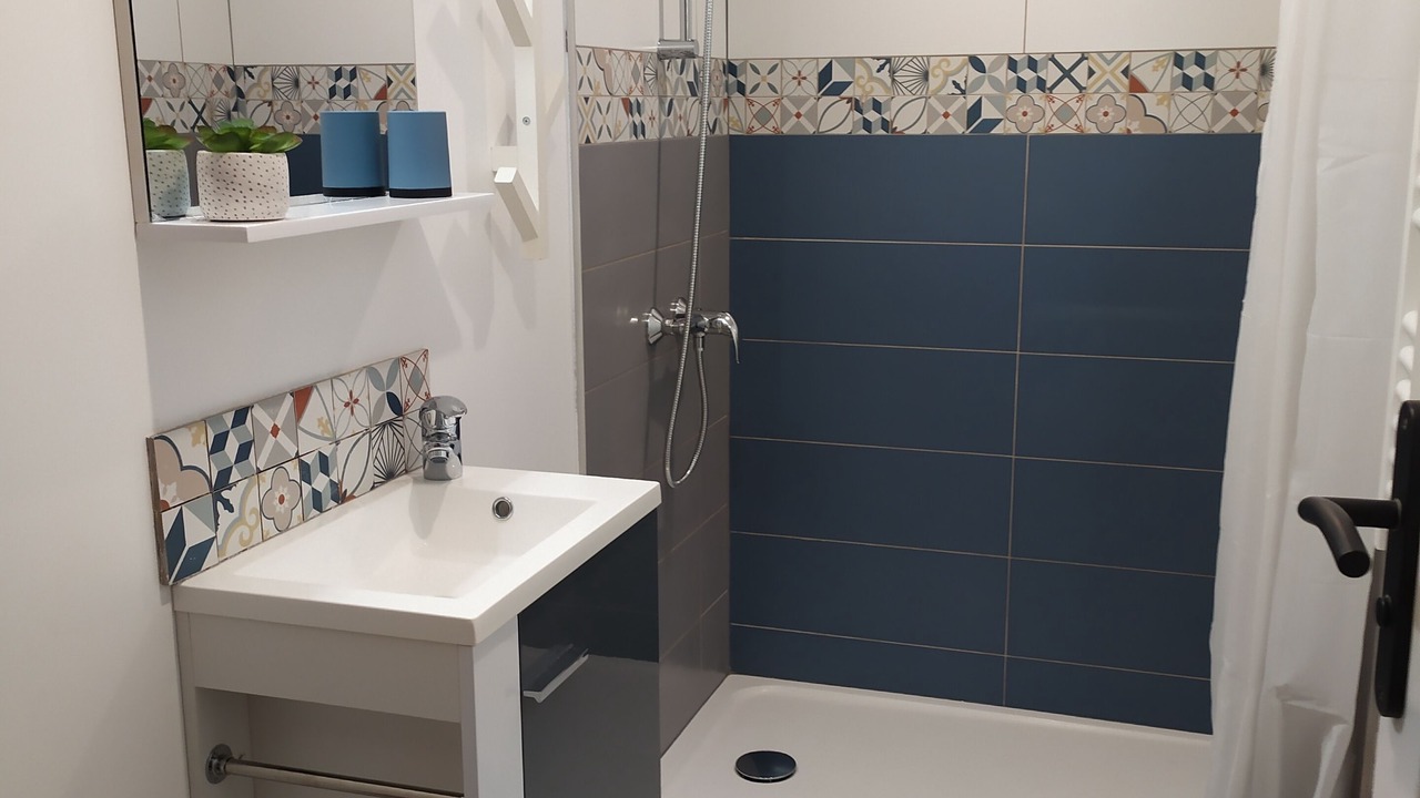 Photo of Bathroom in La Selle-sur-le-Bied