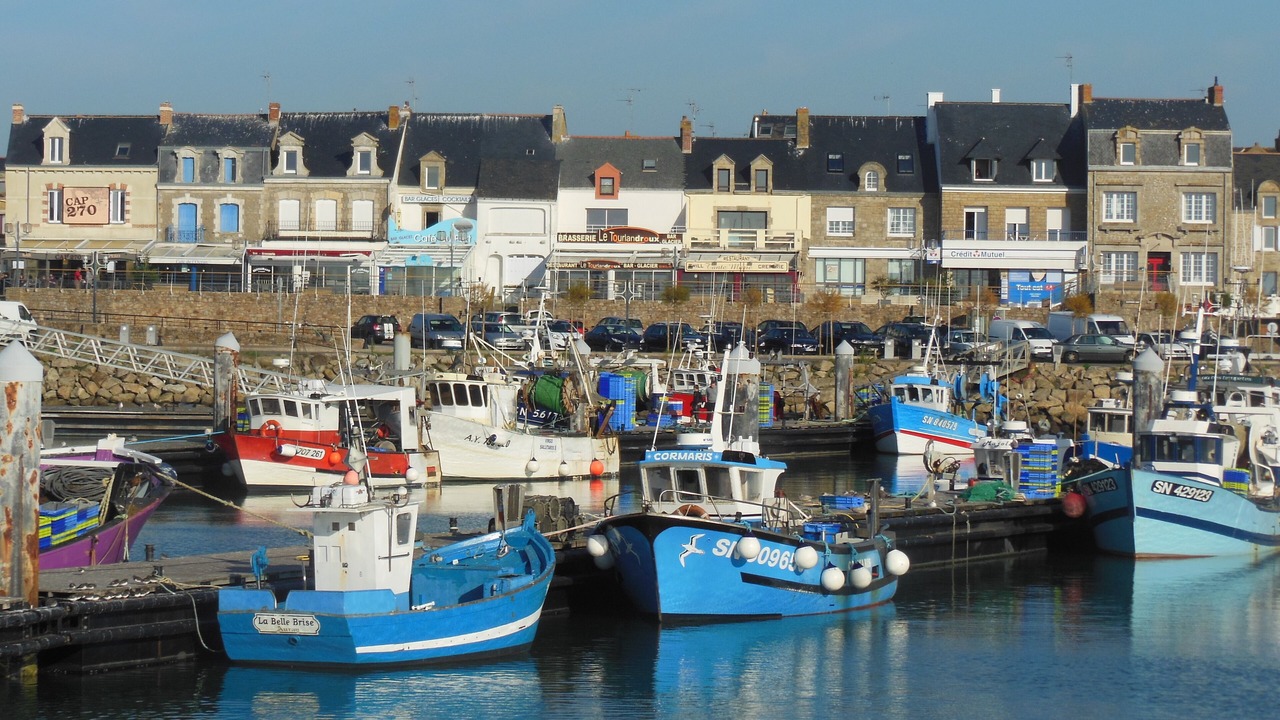 Photo of Others in La Turballe