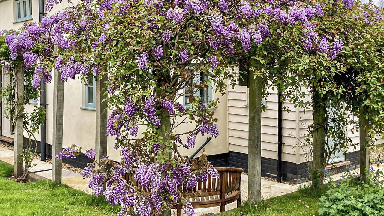 Photo of Outdoor in Beccles