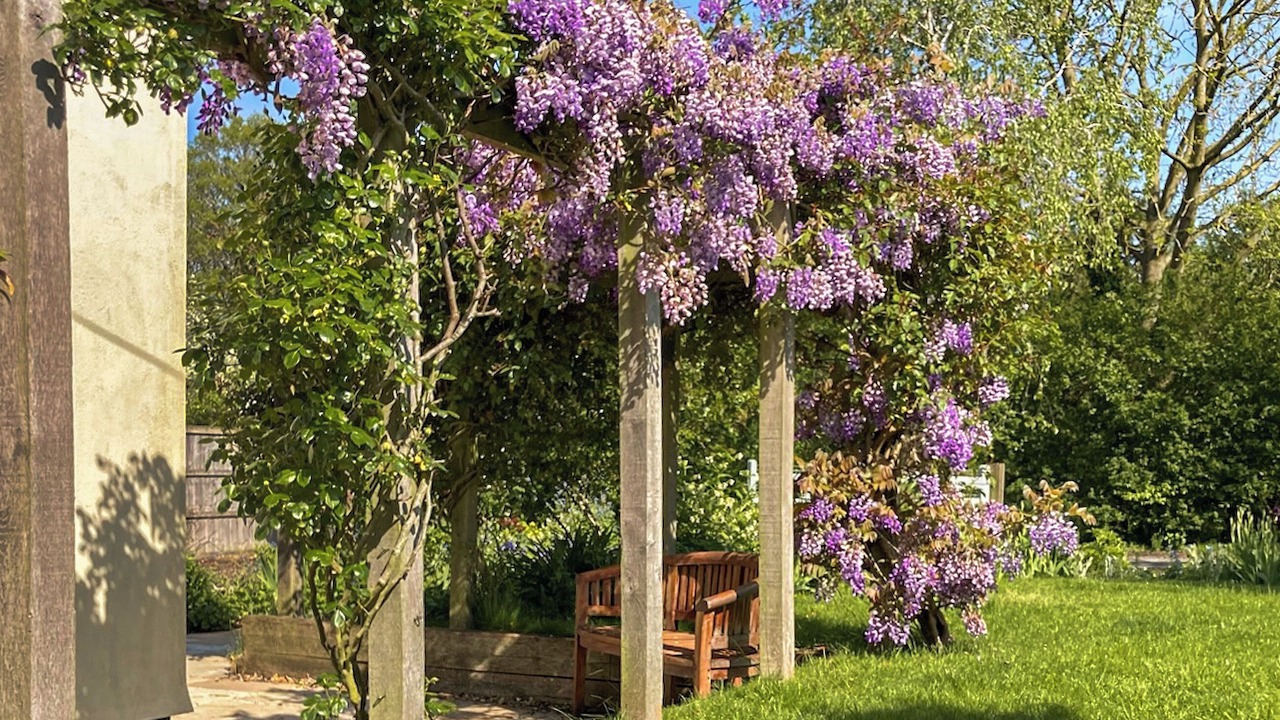 Photo of Outdoor in Beccles