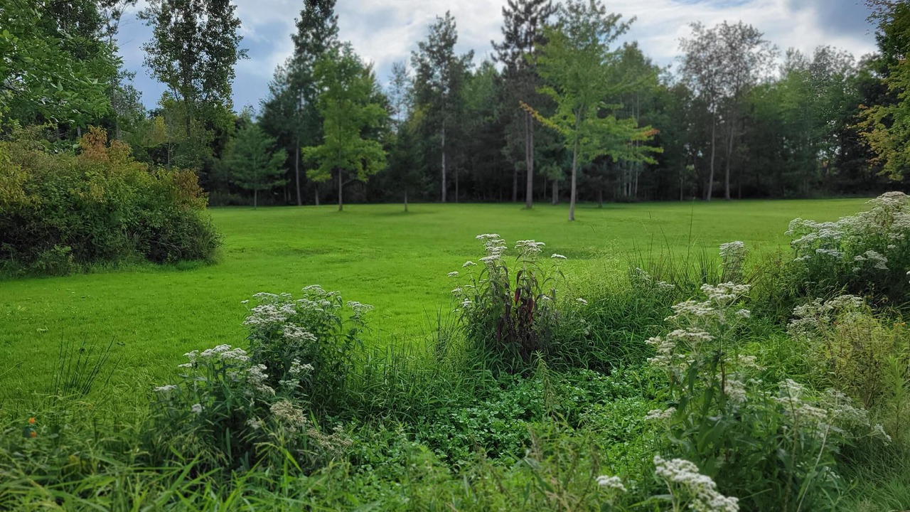 Photo of Outdoor in Medina