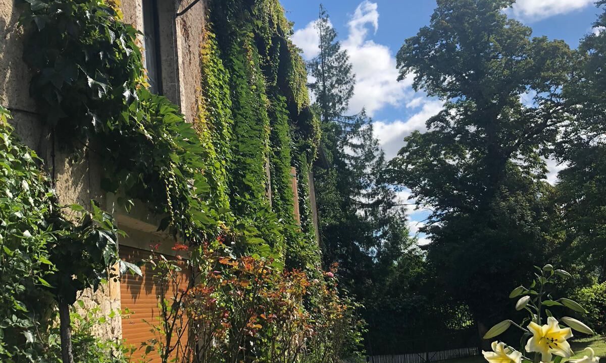 Photo of Outdoor in La Mothe-Saint-Heray