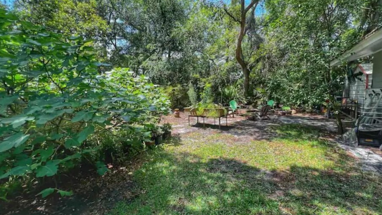 Photo of Outdoor in Jekyll Island