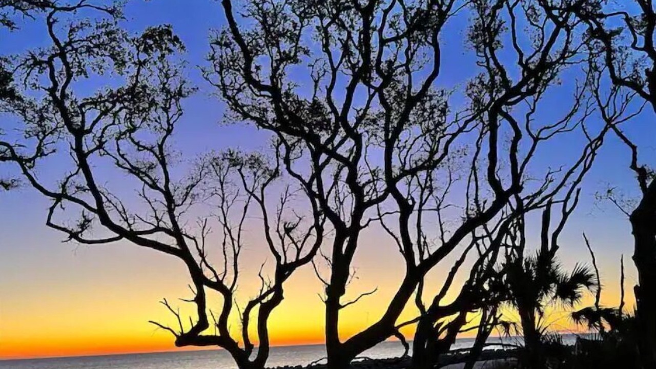 Photo of Others in Jekyll Island